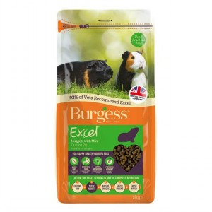 Burgess Excel Guinea Pig With Mint